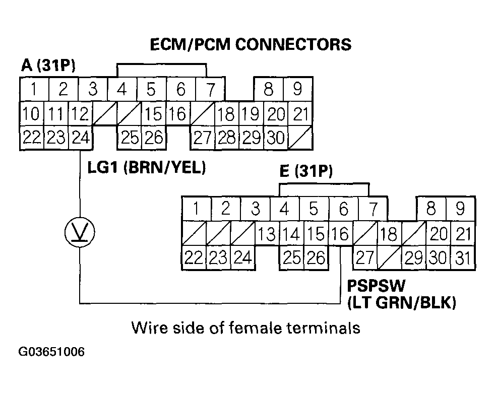 G03651006