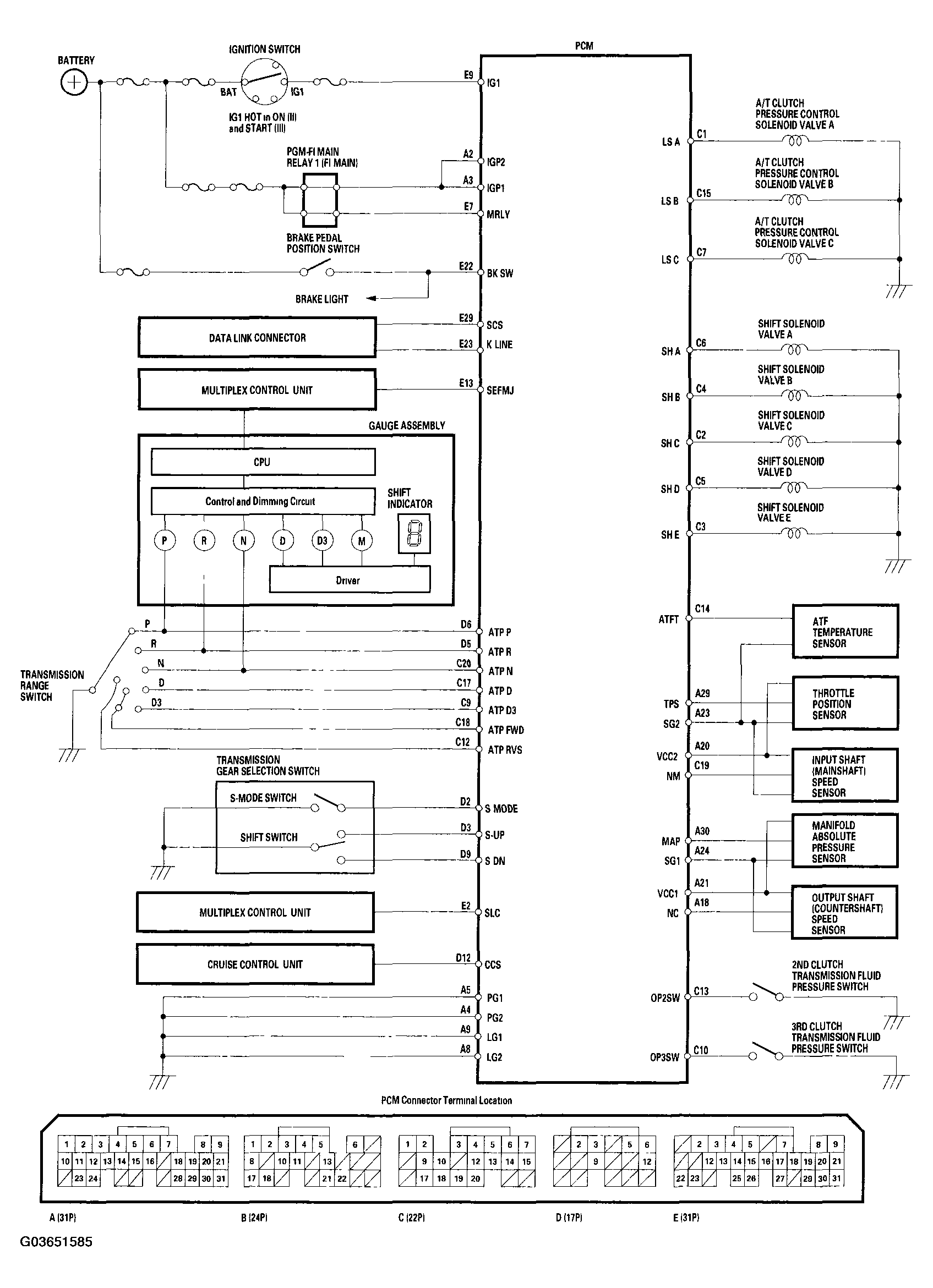 G03651585