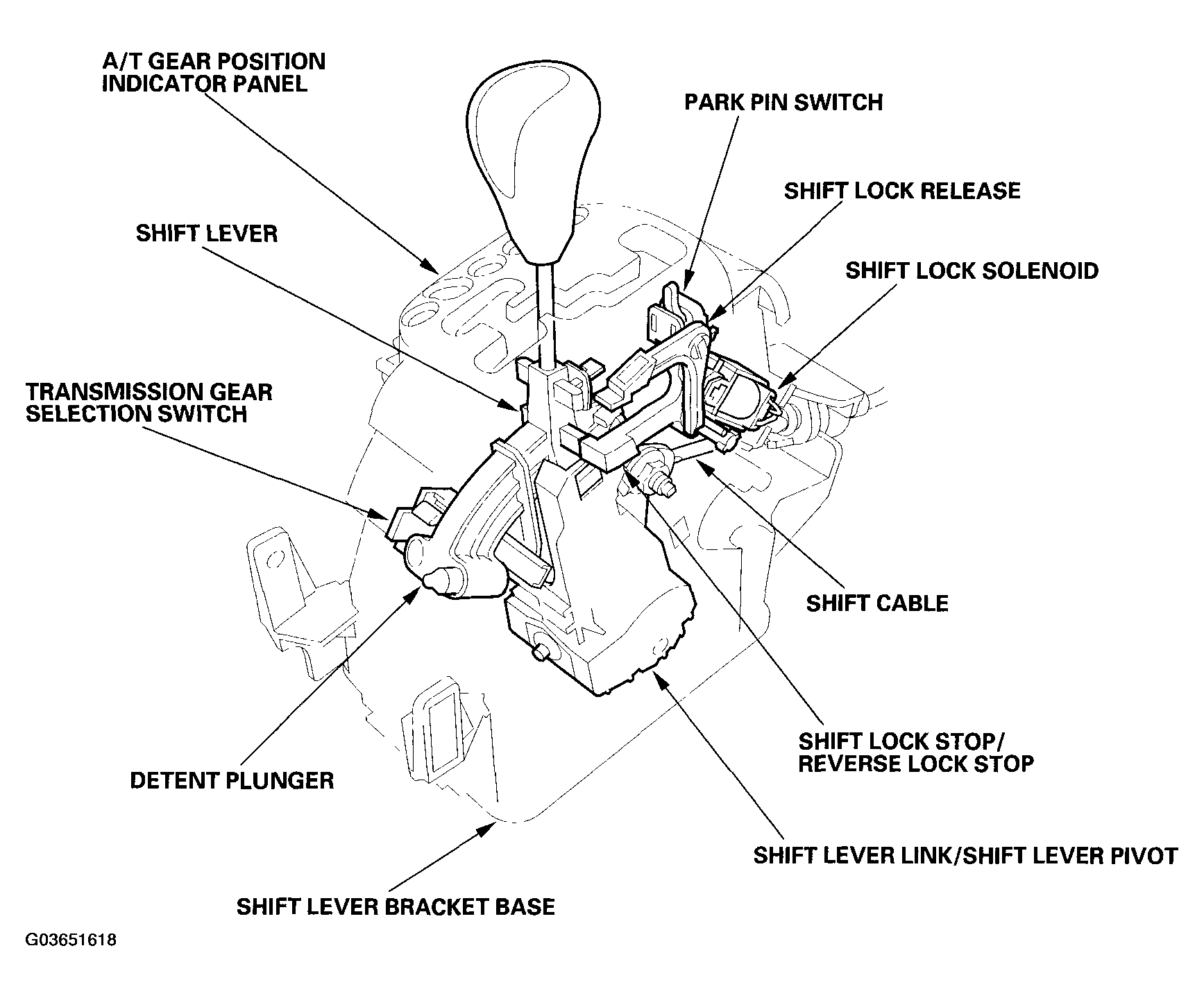 G03651618