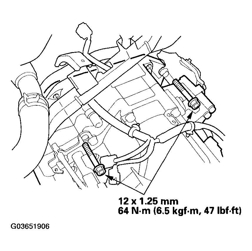 G03651906