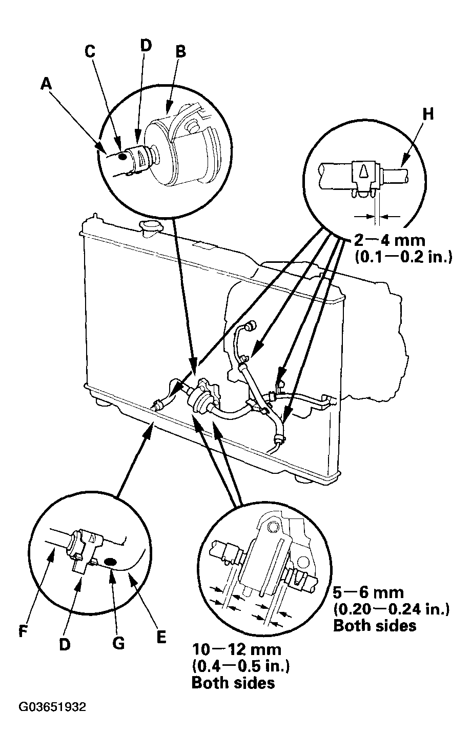 G03651932