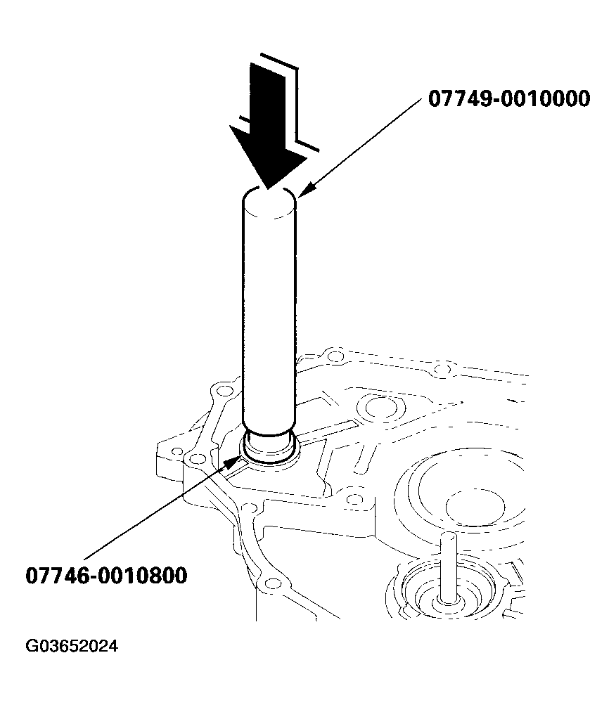G03652024