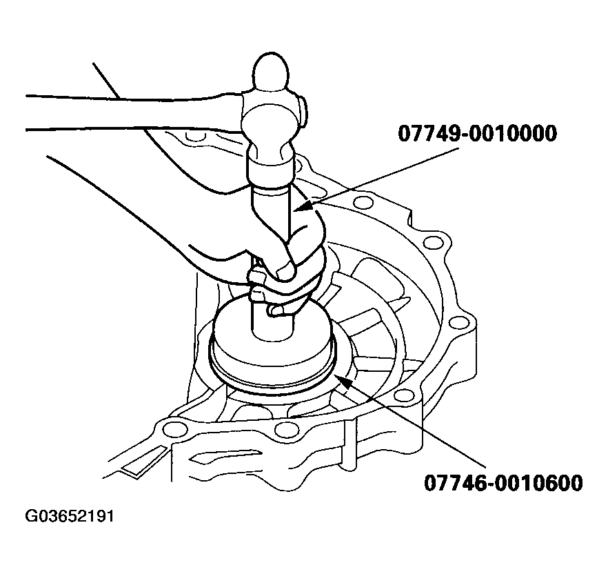G03652191