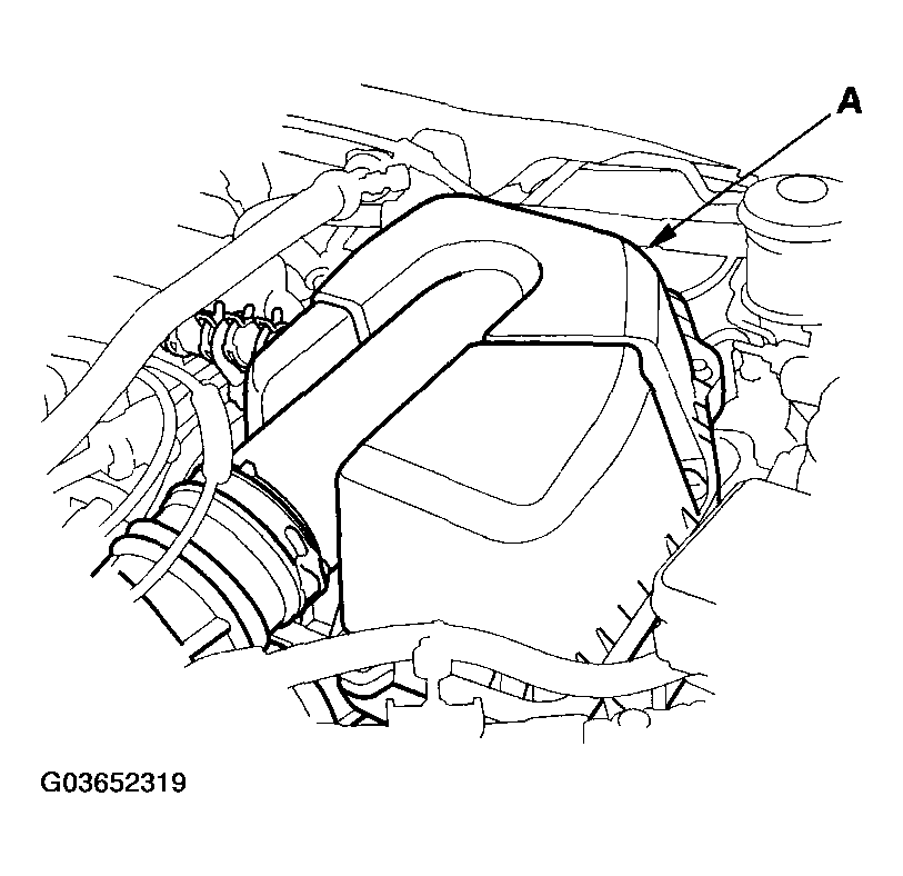 G03652319