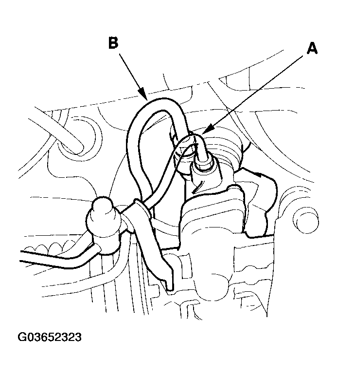 G03652323