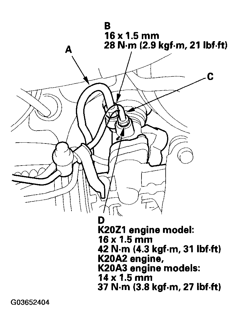 G03652404