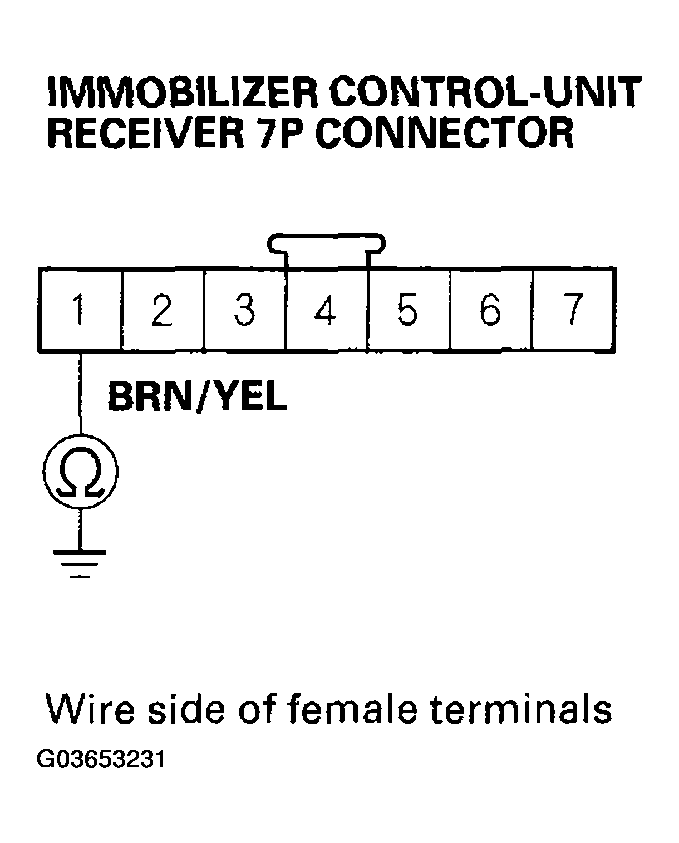 G03653231