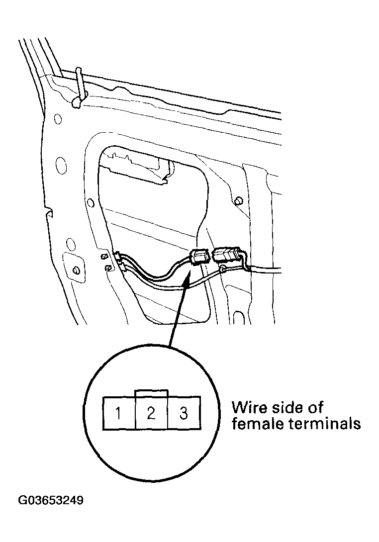 G03653249