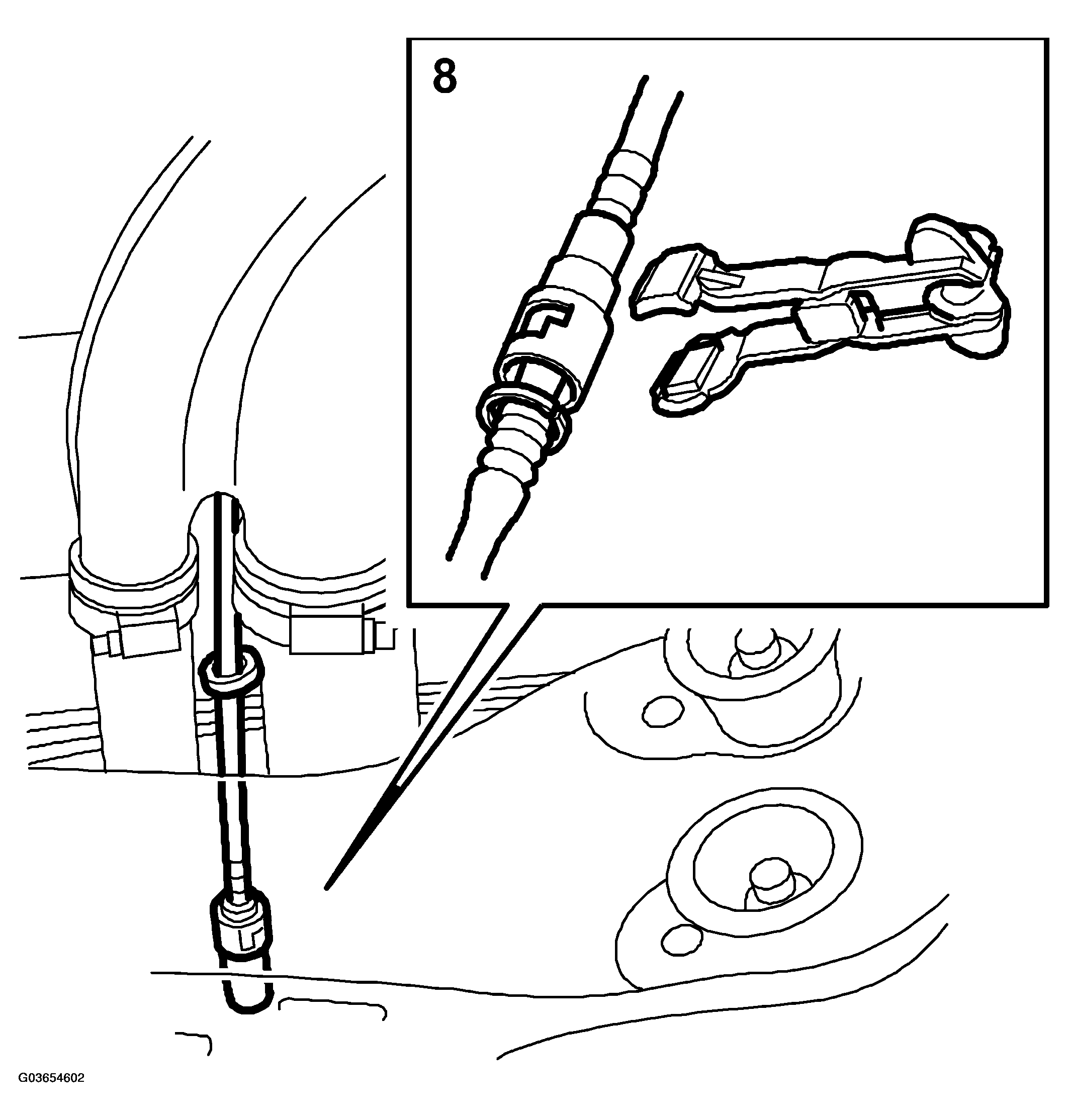 G03654602