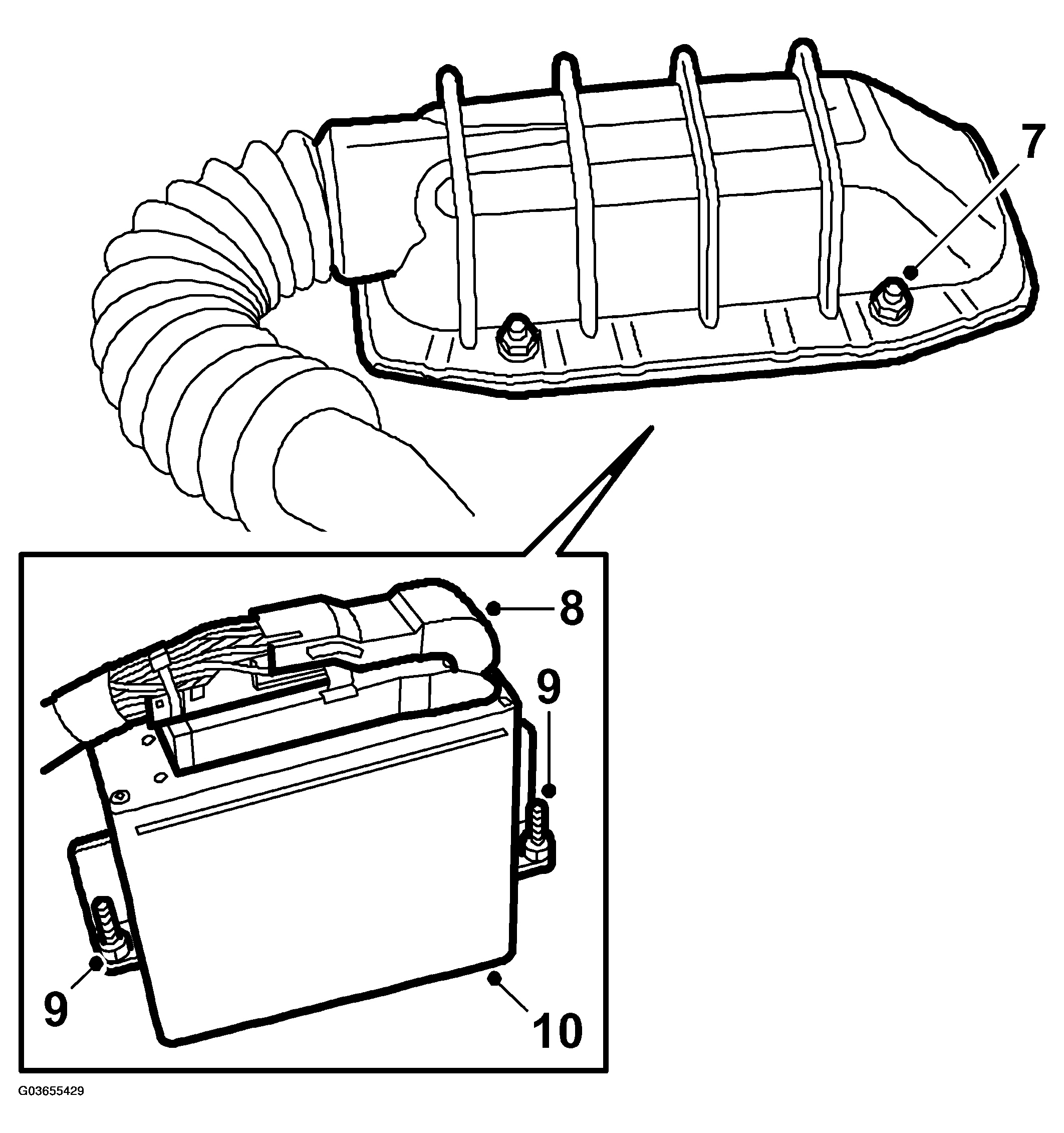 G03655429
