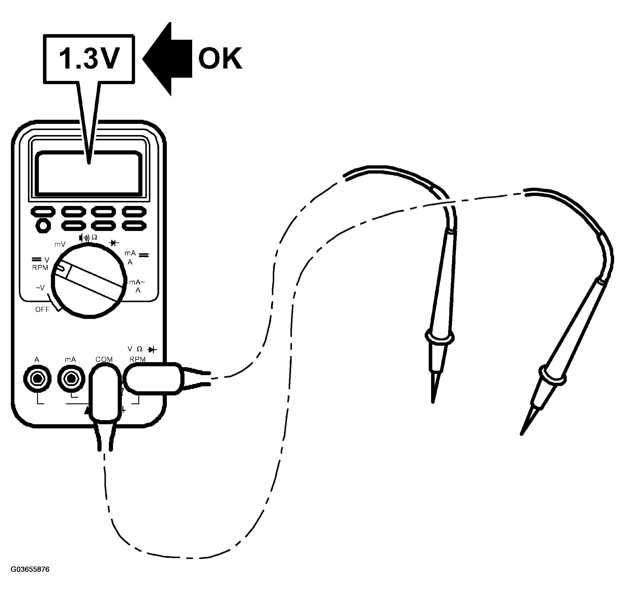 G03655876