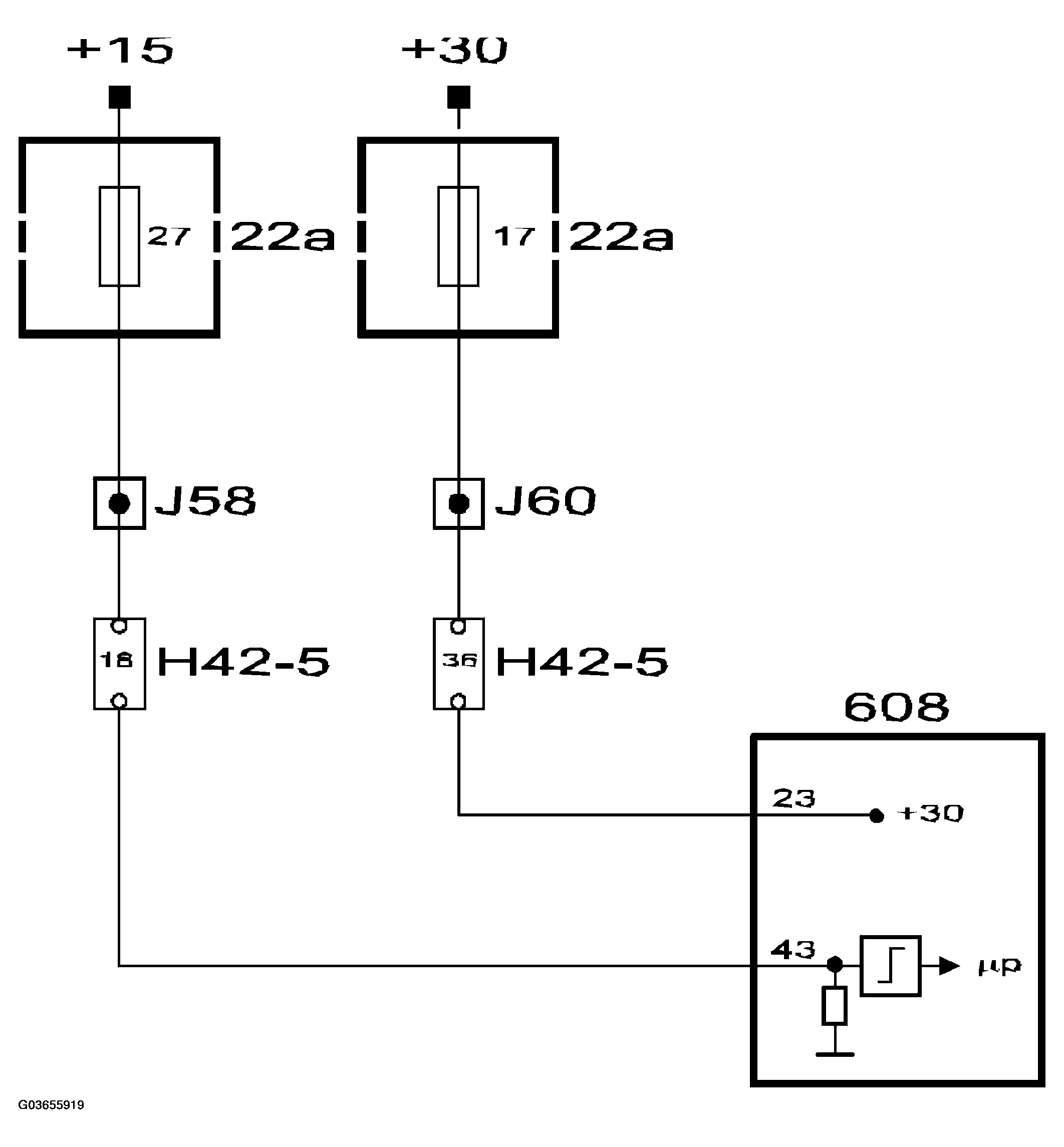 G03655919