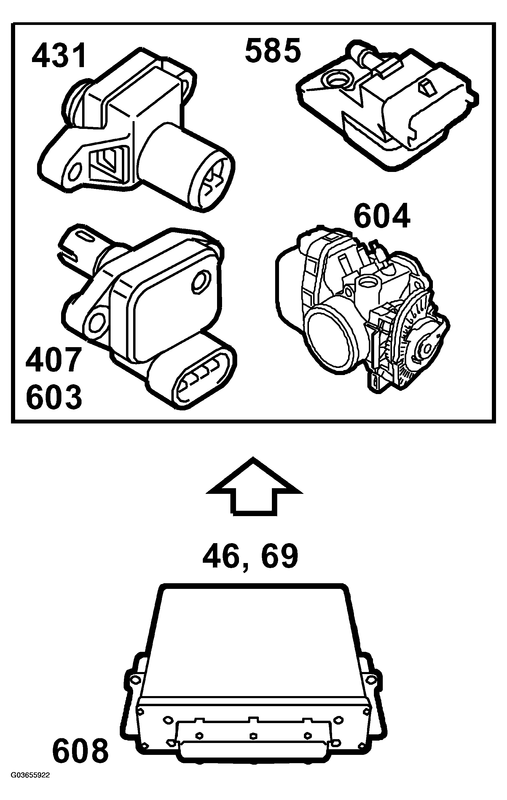 G03655922