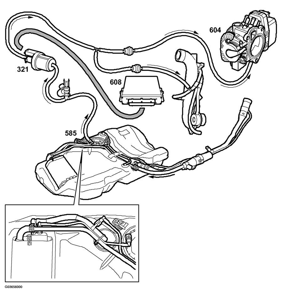 G03656000