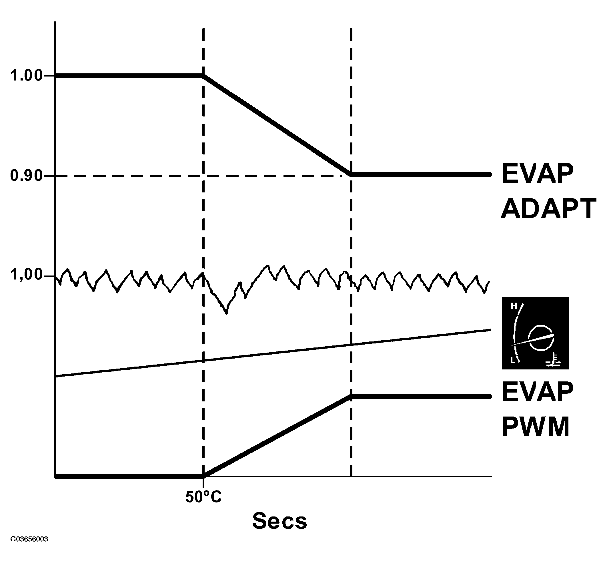 G03656003