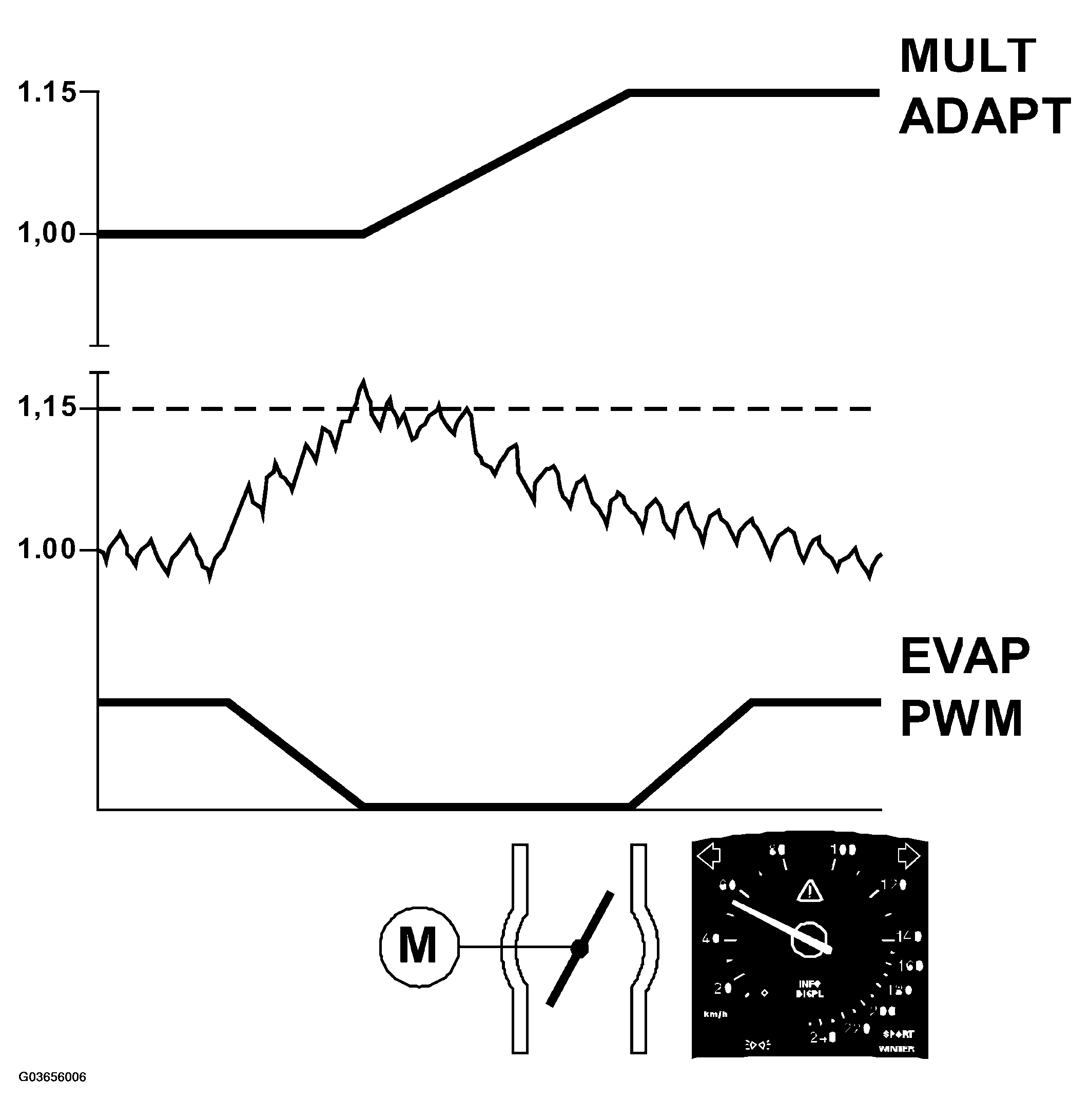 G03656006