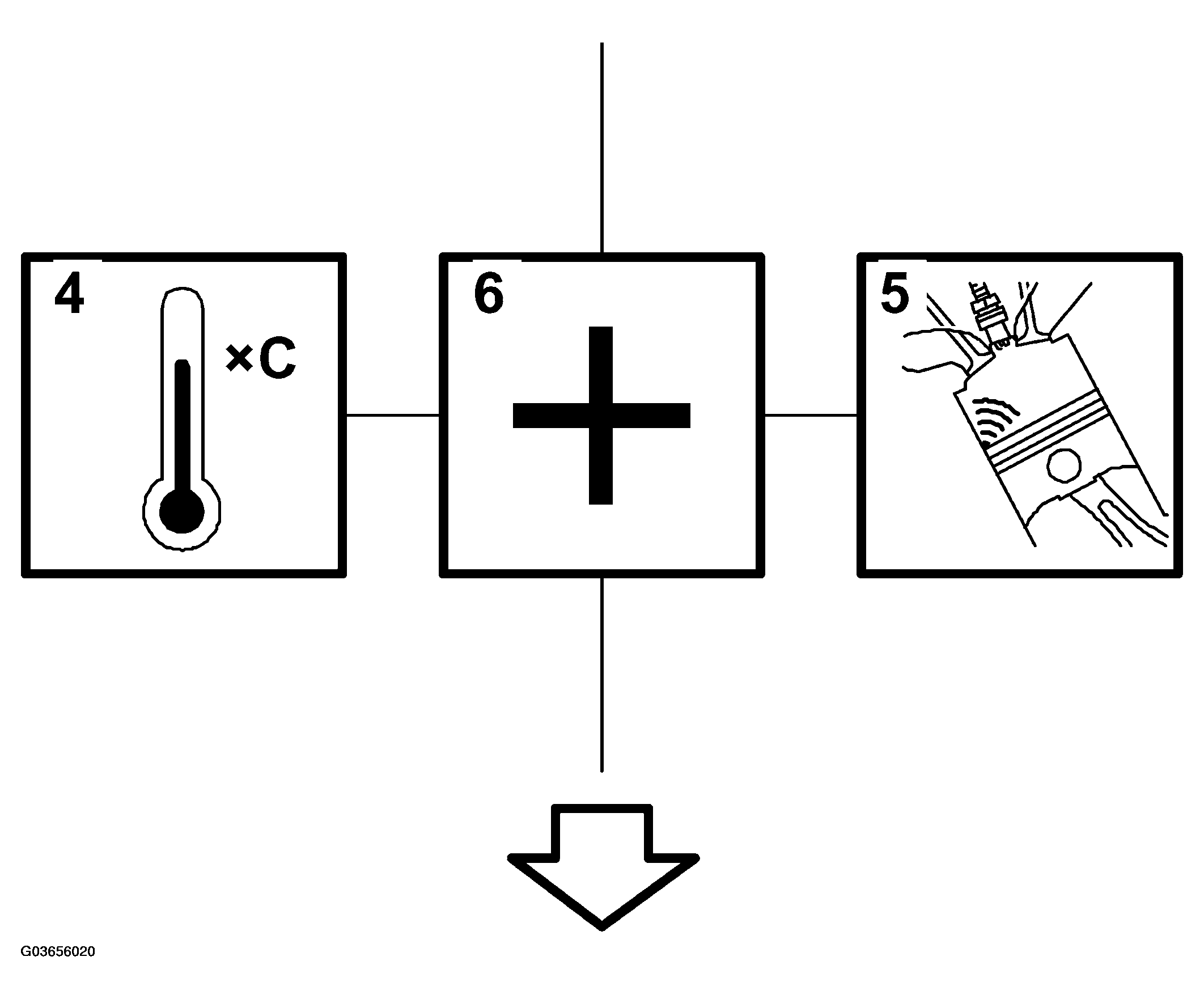 G03656020