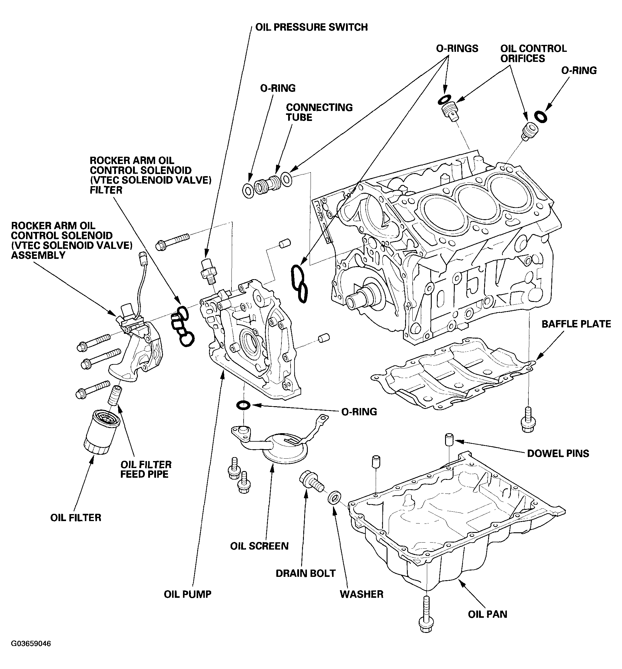 G03659046