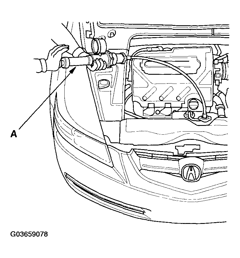 G03659078