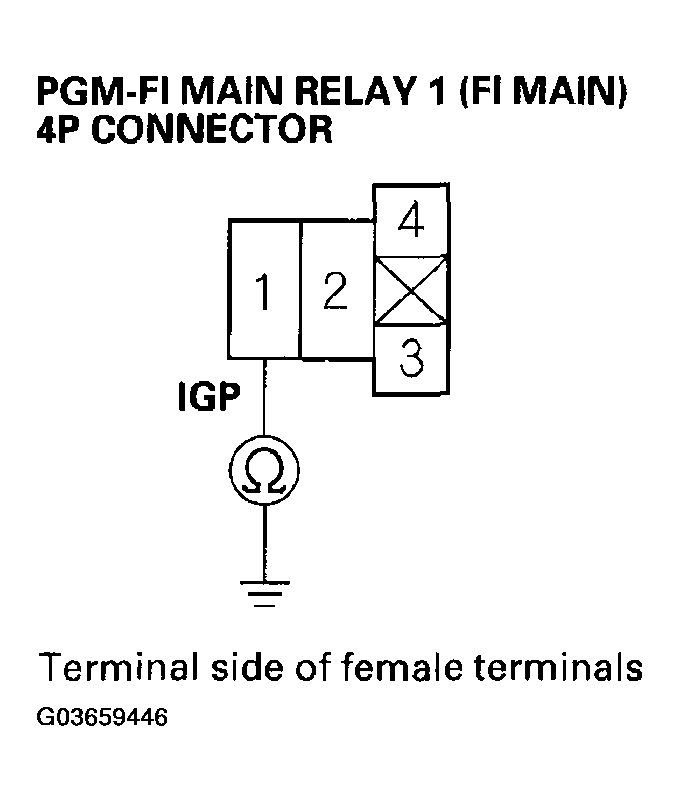 G03659446