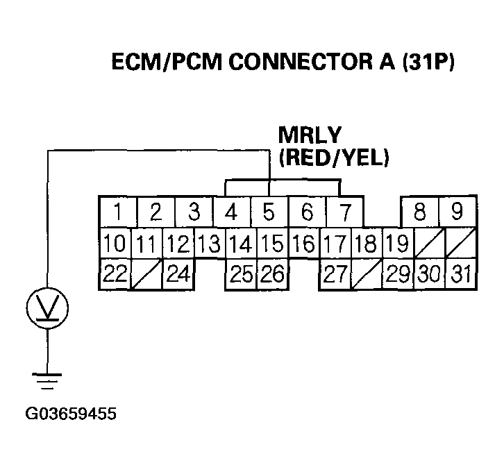 G03659455