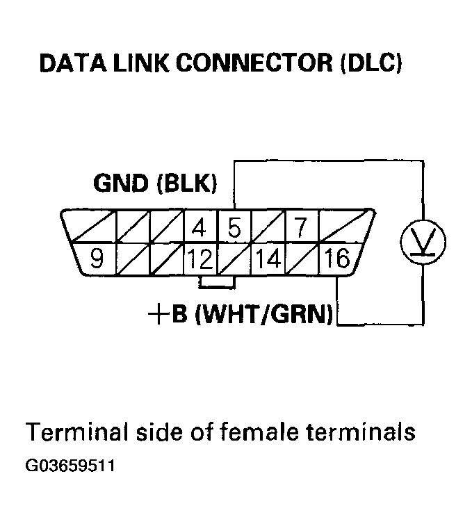 G03659511