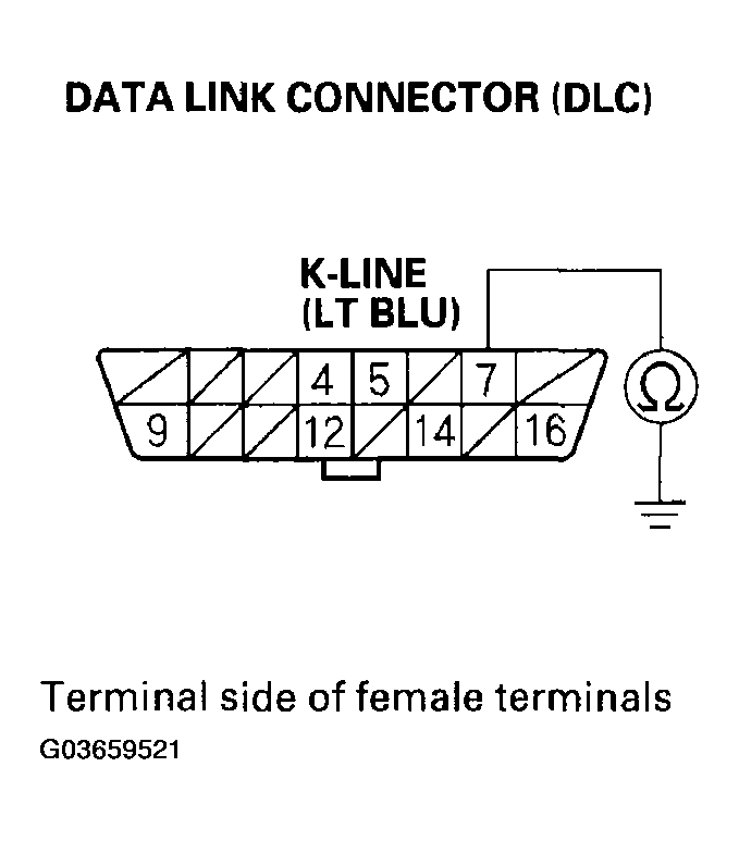 G03659521