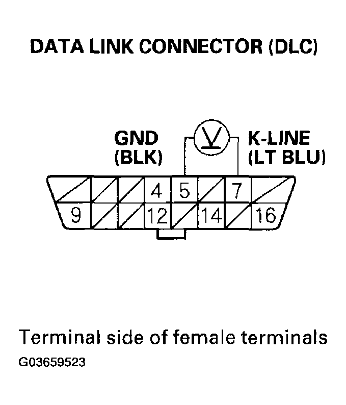 G03659523