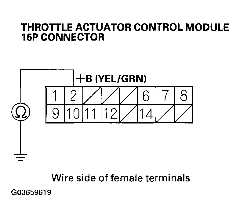 G03659619