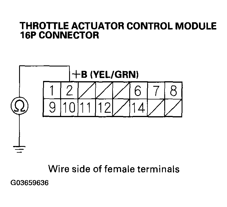 G03659636
