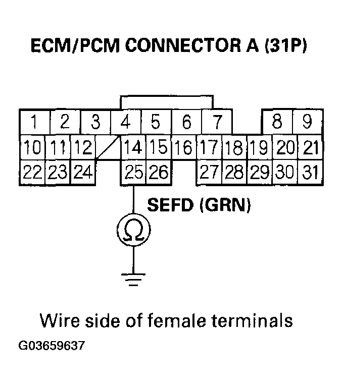 G03659637