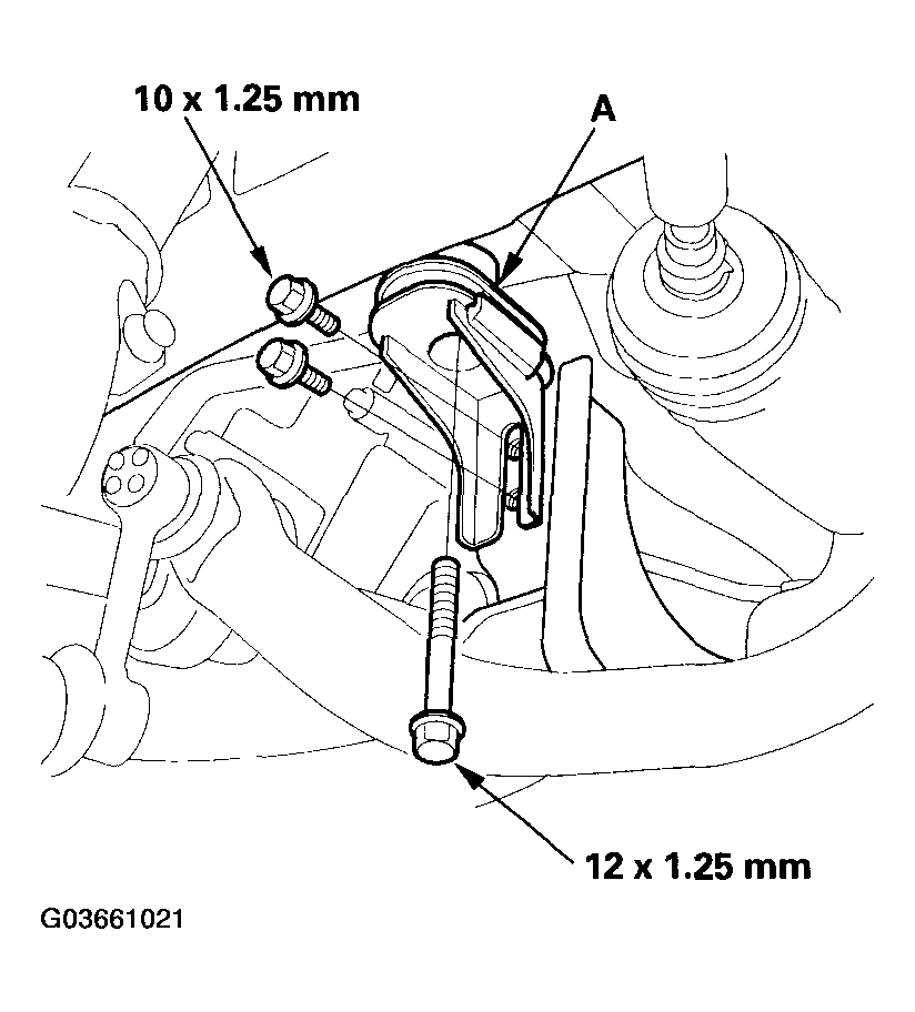 G03661021