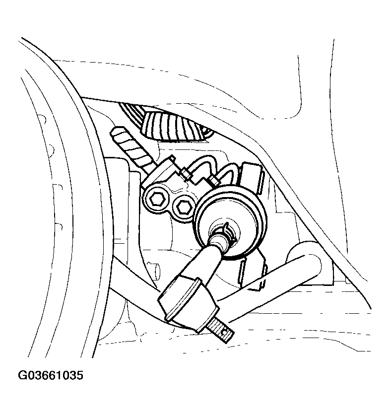 G03661035