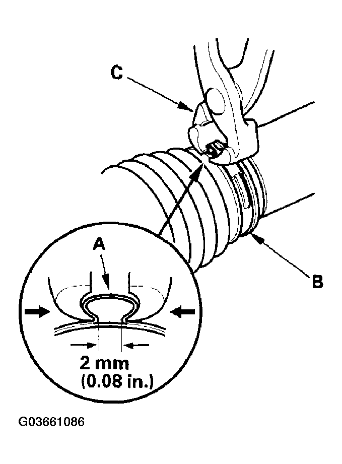 G03661086