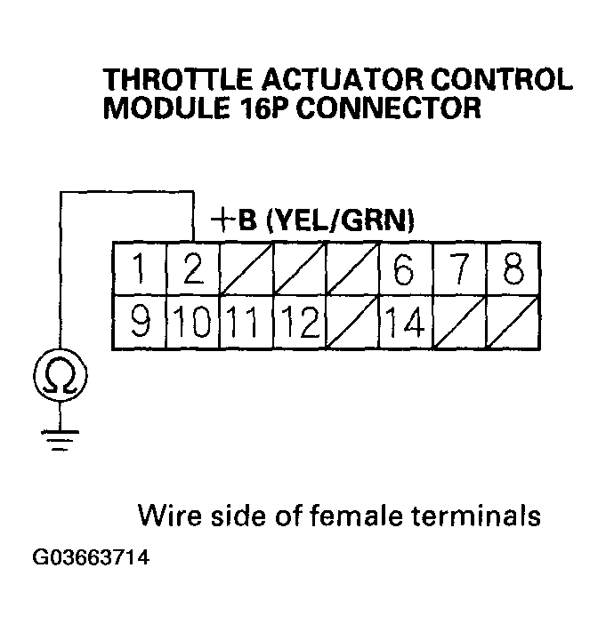 G03663714