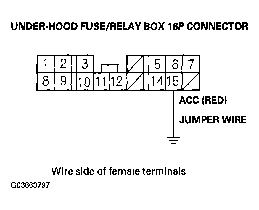 G03663797