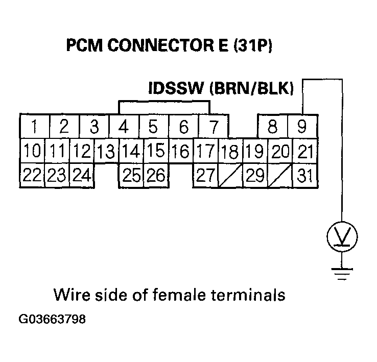 G03663798