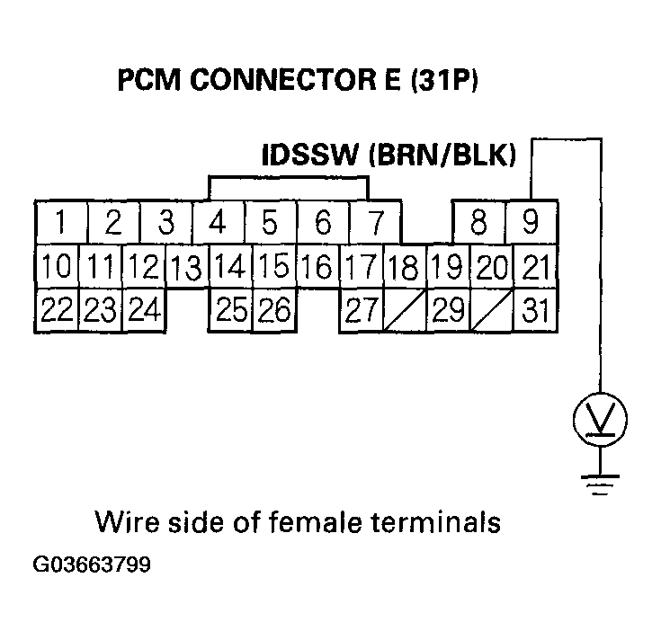 G03663799