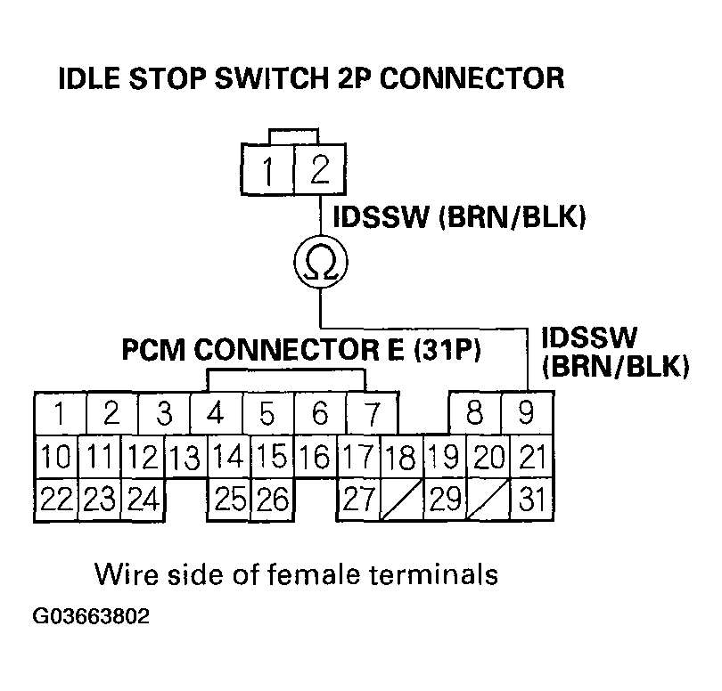 G03663802