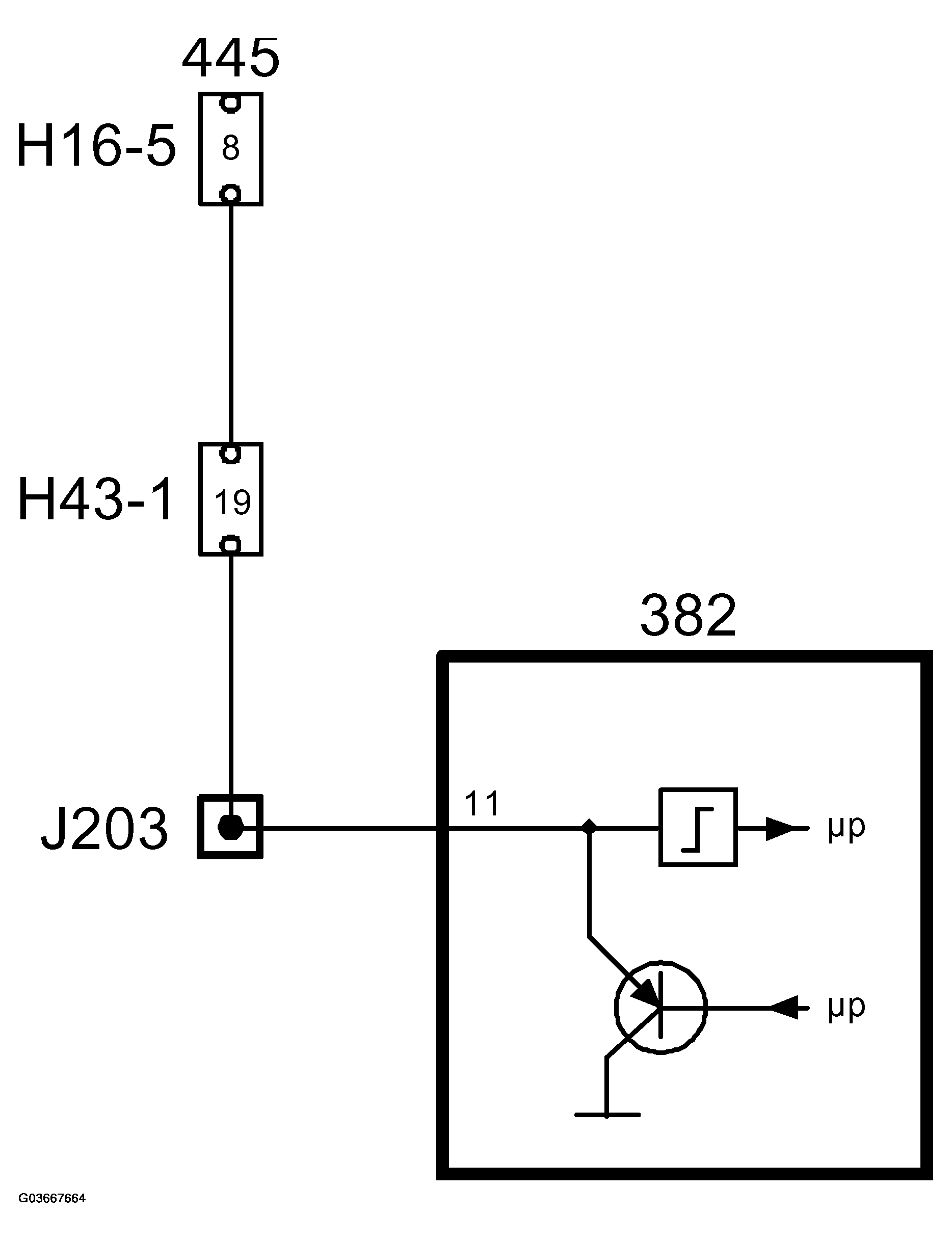G03667664