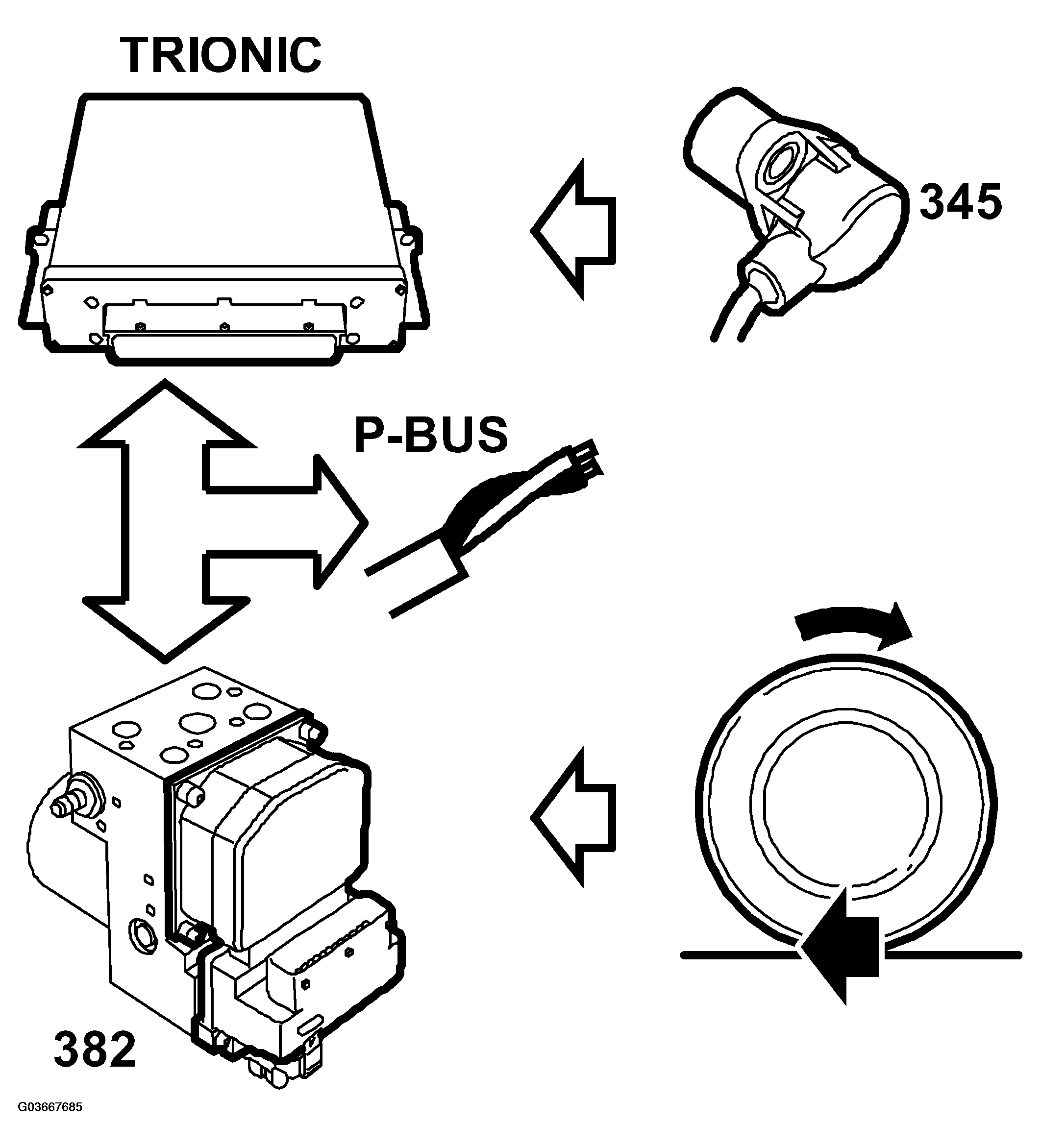 G03667685