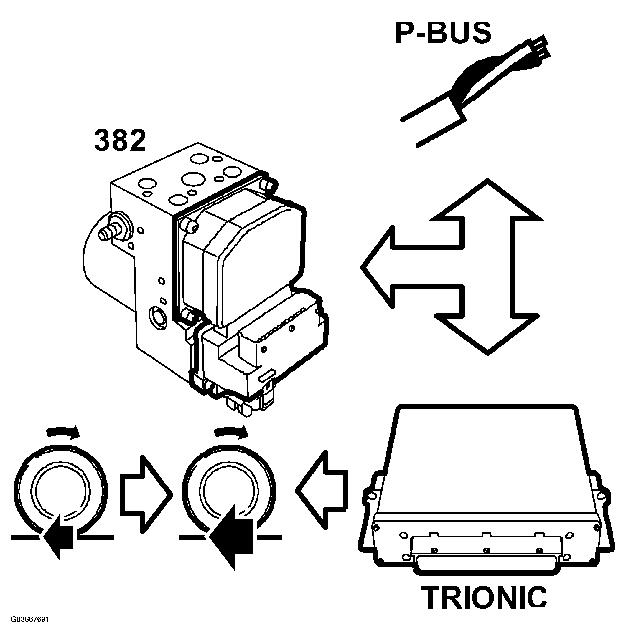 G03667691