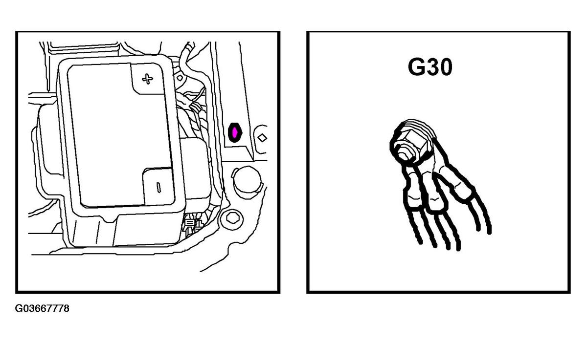 G03667778