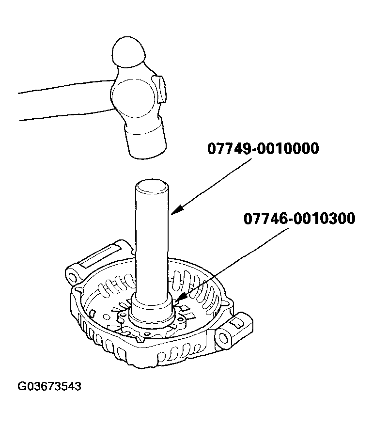 G03673543