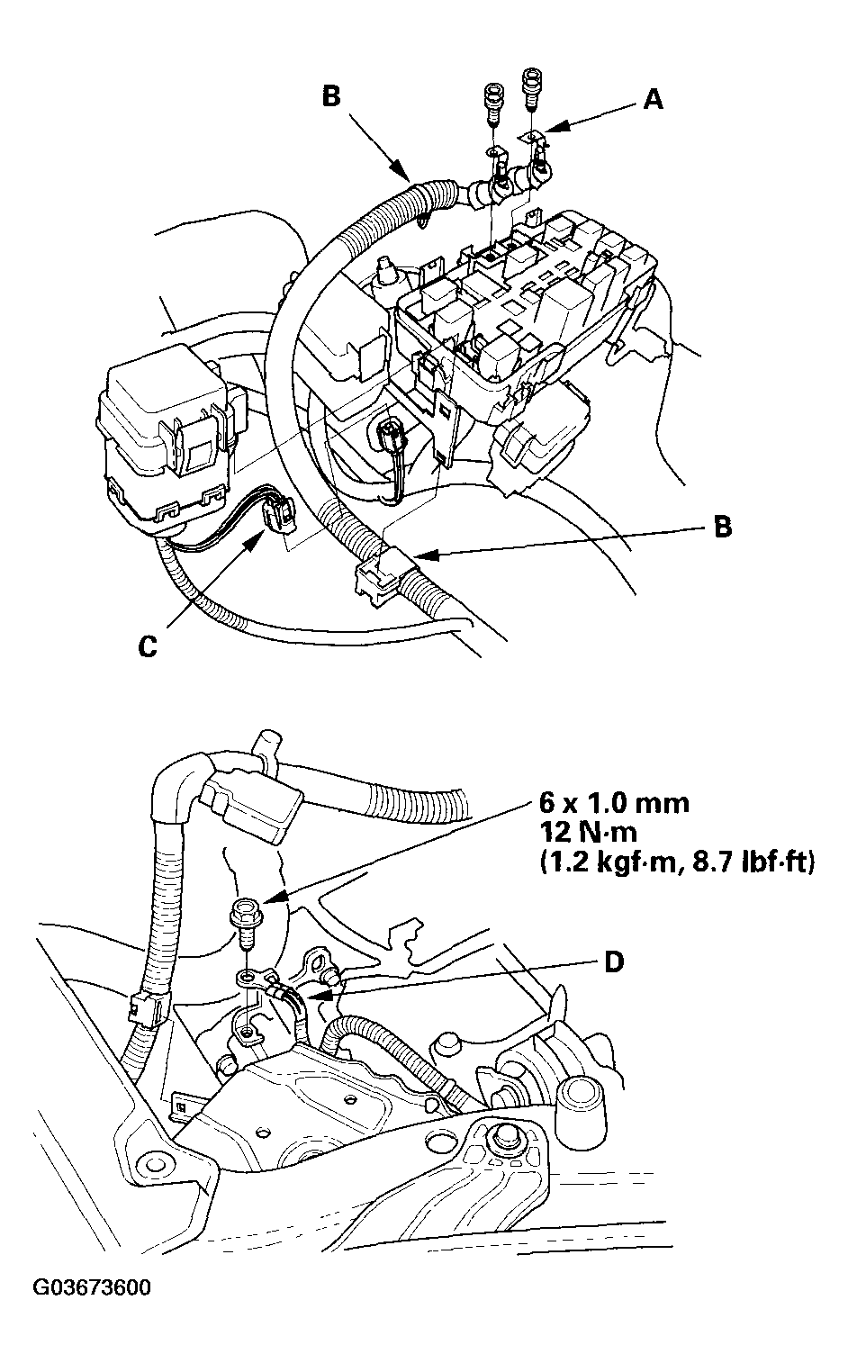 G03673600