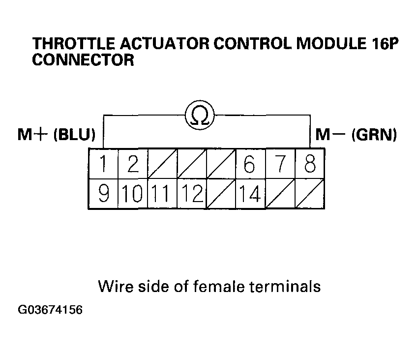 G03674156
