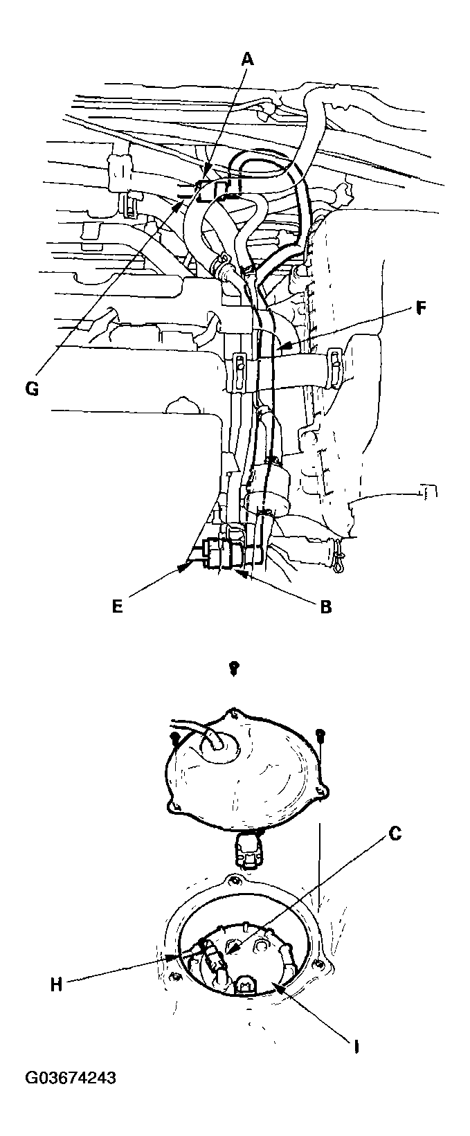 G03674243