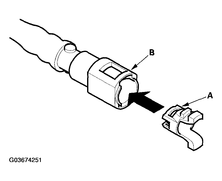 G03674251