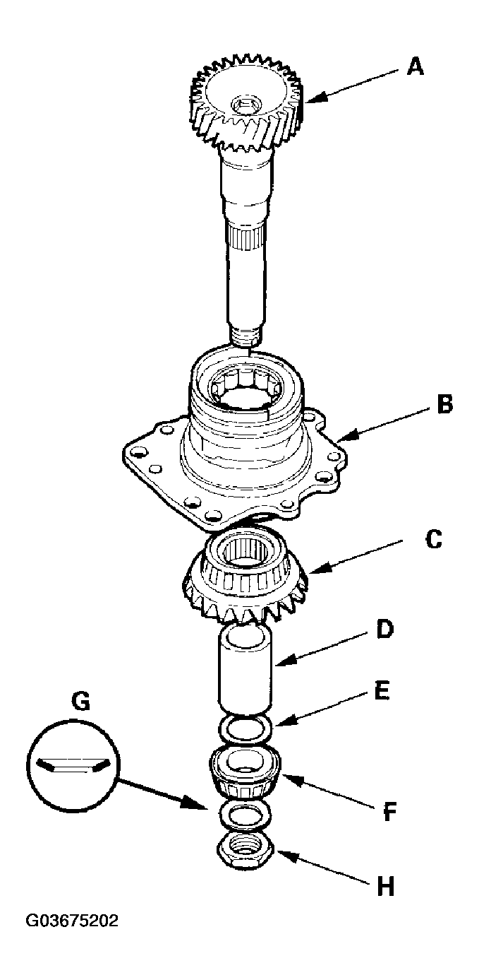 G03675202