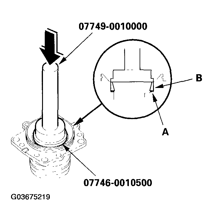 G03675219